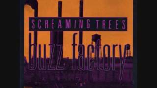 Screaming Trees  Revelation Revolution [upl. by Dam]