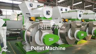 How to Produce Biomass Pellets with Biomass Pellet Machine  Richi Machinery [upl. by Rovelli235]