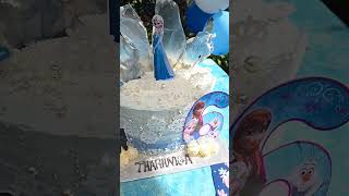 Twins frozen happy birthday cake 6 July 2024 [upl. by Nebur]