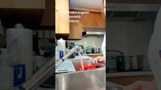 In the making organic tomato sauce [upl. by Mordecai]