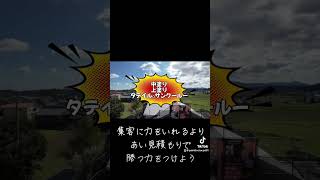 モニエル瓦塗装 下塗り2回の分厚い塗装 塗装 [upl. by Xavier]