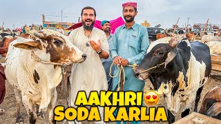 Bakra eid 2023 ka akhri soda karlia Alhamdulillah 🐂 kitne janwar lye [upl. by Enived]