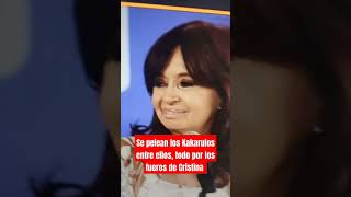 Se pelean los Kakarulos entre ellos todo por los fueros de Cristina argentina [upl. by Nawram]