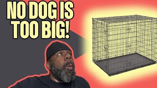 XXL Dog Breeds Need THIS Ginormous MIDWEST 54Inch Dog Crate [upl. by Nahn]