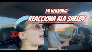 MI HERMANA REACCIONA ALA SHELBY SUPER SNAKE [upl. by Fleck613]