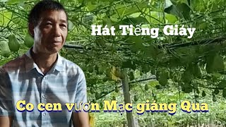 Hát Tiếng Giáy Co cen rủ tả nán zri vươn hát về Quả su su không bán được vẻ đẹp vùng cao X [upl. by Selwin739]