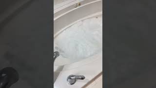 Cleaning out the Jetted Tub on a house I just closed on…This stuff really works [upl. by Ronalda]