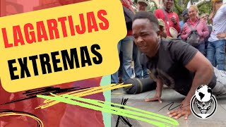 RETO de Lagartijas EXTREMAS 😲 ¿Quién es el mis FUERTE [upl. by Helene109]