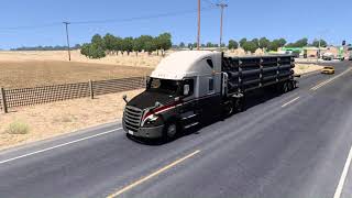 Plataforma  Canalizaciones de hierro 20t  Freightliner Cascadia  American Truck Simulator ats [upl. by Jecho]