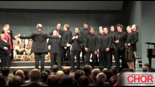 Traditional Wenn die Nachtigallen schlagen  Kammerchor I Vocalisti Dir HansJoachim Lustig [upl. by Enilram307]