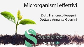 Microrganismi effettivi o efficaci EM  Cosa sono e a cosa servono  Lotta biologica con batteri [upl. by Vish588]