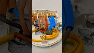 2 Big Reasons to Use 3Core Wire at Ceiling Rose [upl. by Notxarb]