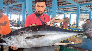 Live 27 Nov 24🔥🔪🔥 yellowfin tuna cutting skills di Pasar Ikan Jembatan Puri Kota Sorong Papua [upl. by Kcirdot]