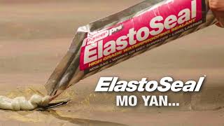 ElastoSeal Mo Yan Tagal Tibay Jingle [upl. by Eneirda]