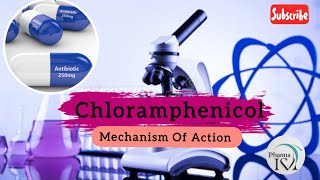 Chloramphenicol mechanism of Action 🔥🔥 antibiotics pharmacology dipankar650 [upl. by Bevers]