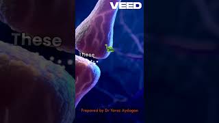 Pacemaker cells keep you alive shorts science heart 3d lecture music technology animation [upl. by Eixam830]