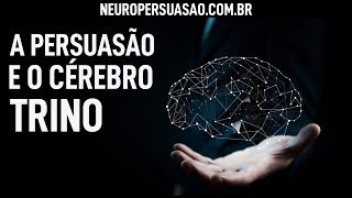 Cérebro Trino Como Ativar o Cérebro de Alguém  Neuro Persuasão por André Buric [upl. by Itoc]