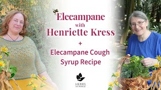 Elecampane with Henriette Kress  Elecampane Cough Syrup Recipe [upl. by Utimer]