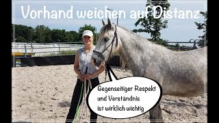 Bodenarbeit für Anfänger Hinterhandwendung Vorhandweichen auf Distanz [upl. by Lewan544]