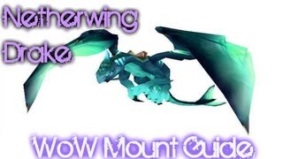 Netherwing Drakes Guide [upl. by Aneryc]