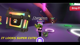 HOW TO GET A CHAMELEON FROM RGB BOX 🎁🦎 In Adopt Me  Roblox [upl. by Ogires]