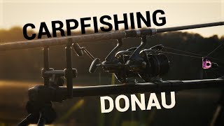 Carpfishing  EINE WOCHE DONAU  2017 [upl. by Miran]