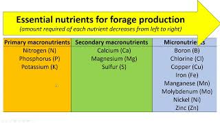 Essential nutrients for forage systems forage drops [upl. by Eybbob266]