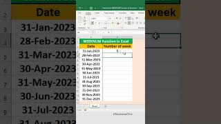 How to Use WEEKNUM Function in Excel excel shortvideo shorts [upl. by Barcus]