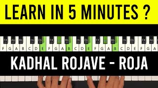 Kadhal Rojave Piano Tutorial  Keyboard Notes Chords  Roja Janeman with Lyrics Lesson  SPB [upl. by Enisamoht153]