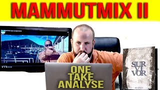 JBB MAMMUTMIX II  ONETAKEANALYSE   Twizzy unboxing Special [upl. by Arramahs]