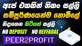 peer2profit app payments proof  earn money online sinhala  free crypto app sinhala eurolanka [upl. by Milicent]