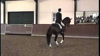 3 Leader Of World Ranking Dressage  GP KWPN stallion Jazz sCocktail [upl. by Huberto]