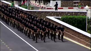 Cherchell présentation dune parade militaire mettant en exergue différents sports de combats [upl. by Wilen439]