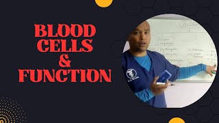 General Function of Blood Blood Cells amp Plasma Nepal Veterinary Education DrShresthaVET 005 [upl. by Nhor]