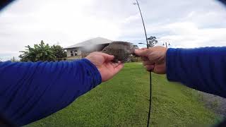 Fishing Chalmette 40 arpent wetland observatory New Orleans Louisiana [upl. by Felecia]