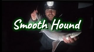 UK Sea Fishing  Smooth Hound  Anglesey  North Wales [upl. by Ebsen]