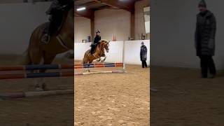 Lite mer från hoppträningen♥️ trend showjumping equestrian showjump riding pony [upl. by Nodnnarb]