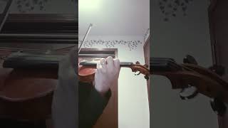 Arensky Violin Concerto Op54 I Allegro [upl. by Oinotnanauj491]