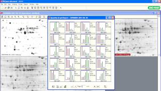 PDQuest™ Software Tutorials — Generating Reports [upl. by Vladi]