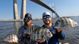 CATCHING SHEEPSHEAD AROUND THE ROCKS AT JEKYLL ISLAND AND BRUNSWICK GA 🔥🔥🎣 [upl. by Vivien]