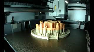 3D Printing Timelapse Minas Tirith [upl. by Ramoj]