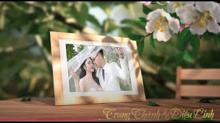 wedding Thành amp linh p2 [upl. by Tierza]