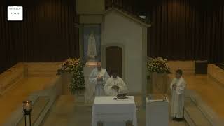 Celebrating Faith Mass of Our Lady of Fátima at the Chapel of the Apparitions on 08112024 [upl. by Eldora880]