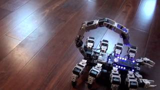 Bioloid Scorpion Robot  first video  Full 8 leg walking stinger and pincers [upl. by Anaele296]