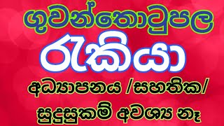 2025 job vacancy 2024 sri lanka  රැකියා ඇබෑර්තු 2024  job vacancy rakiya abarthu ගුවන් තොටුපොල [upl. by Vivienne]