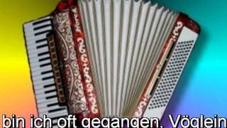 Volkslieder Medley 5 Lieder [upl. by Bennett362]