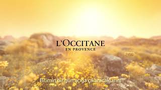 L’Occitane I Immortelle Reset Overnight Serum [upl. by Alak]