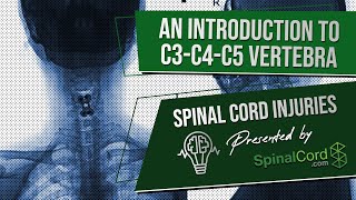 C3 C4 C5 Definitions Cervical Spinal Cord Injury Symptoms Causes Treatments and Recovery [upl. by Arries]