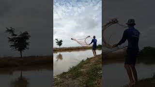 This Ancient Fishing Method Catches 100 Fish in Minutes [upl. by Agnew89]