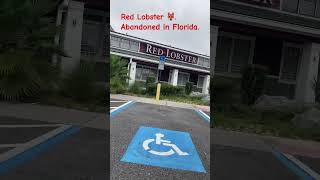 Abandoned Red Lobster 🦞 in Florida Happy 😄 Monday [upl. by Gardell]